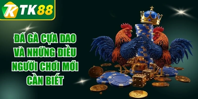 Đá Gà Cựa Dao