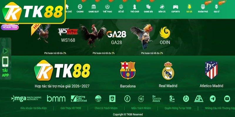 Trải nghiệm các hình thức kê chiến kịch tính tại đá gà TK88
